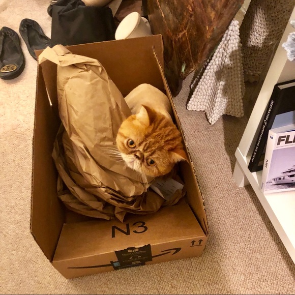 Meet the Posher - Picture 5 of 8